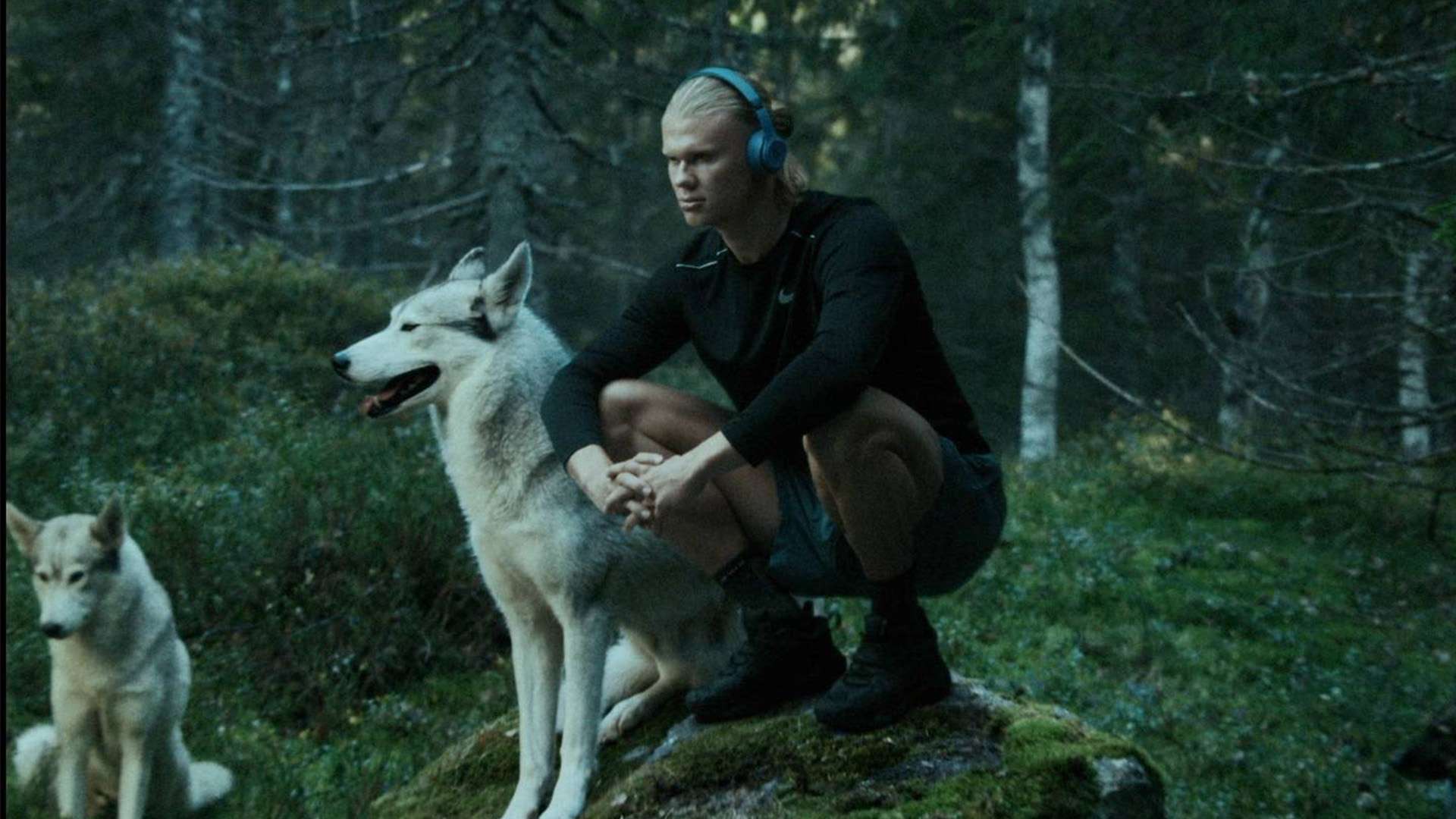 的战术体系 的战术体系